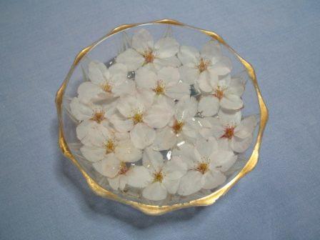 20070402-桜浮かべた.JPG
