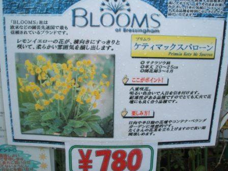 20070407-ﾌﾞﾙｰﾑ　ｹﾃﾞｨﾏｯｸｽﾊﾞﾛｰﾝ.JPG