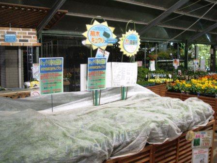 20070412-野菜売場 夜.JPG