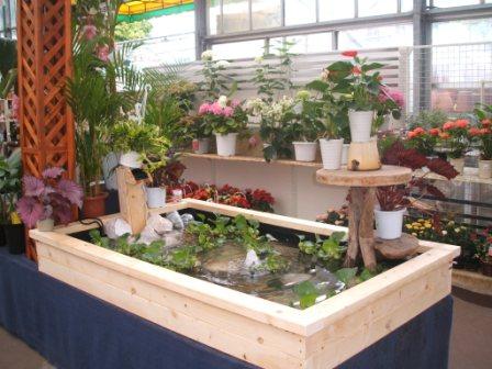 20080605-池中２.JPG