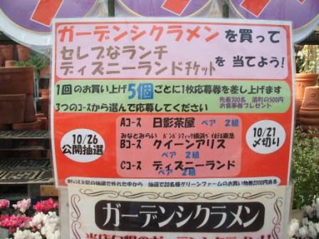 20080913-Ｇシクイベント.JPG