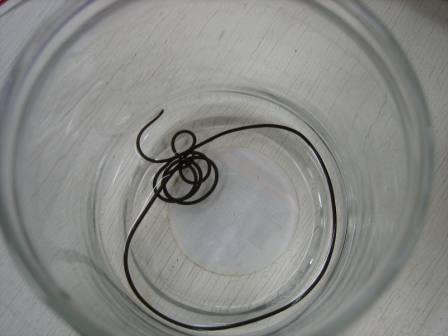 20081210-IMG_0693.JPG