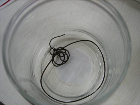 20081210-IMG_0694.JPG