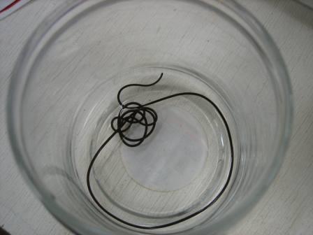 20081210-IMG_0695.JPG