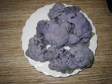 20081231-IMG_0713.JPG