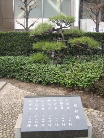 20090311-IMG_1118.JPG