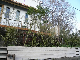 20090328-P1070298.jpg