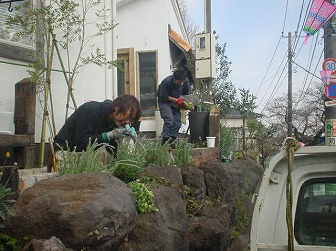20090328-hy.jpg