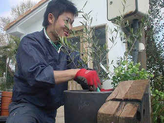 20090328-tokudaiji.jpg