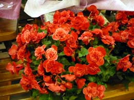 20091102-ri-ga.jpg