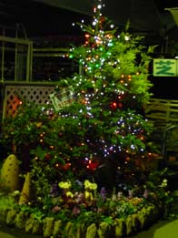 20091105-turi.jpg