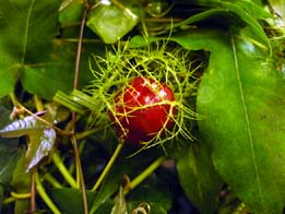 20091107-tokei1.jpg