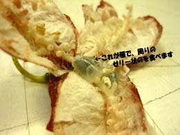20091107-tokei2.jpg