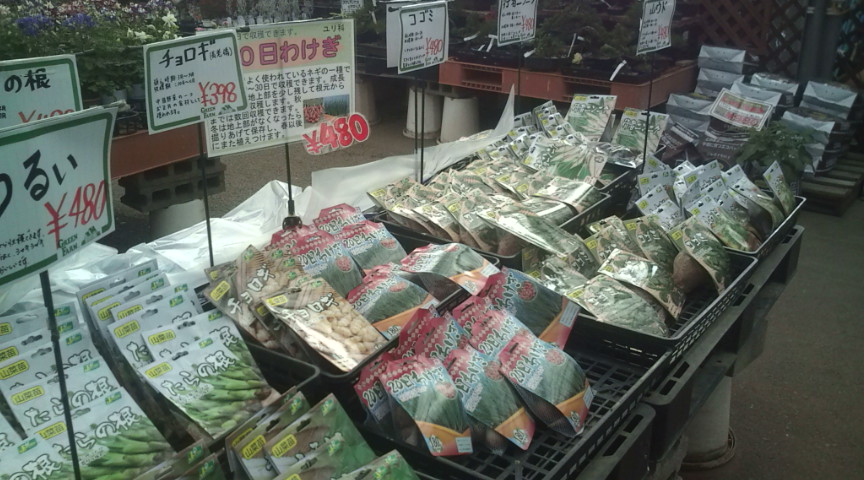 20100308-野菜球根.jpg