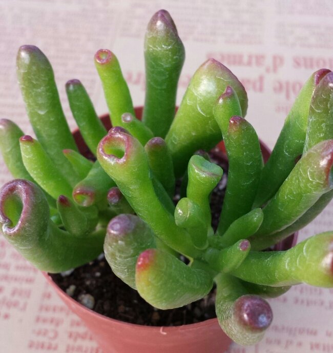 20131101_150916-1.jpg image