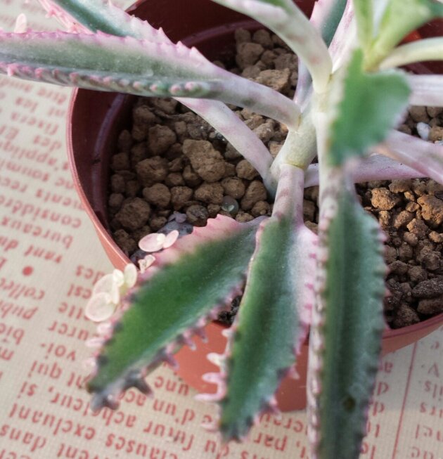 20131101_153102-1.jpg image