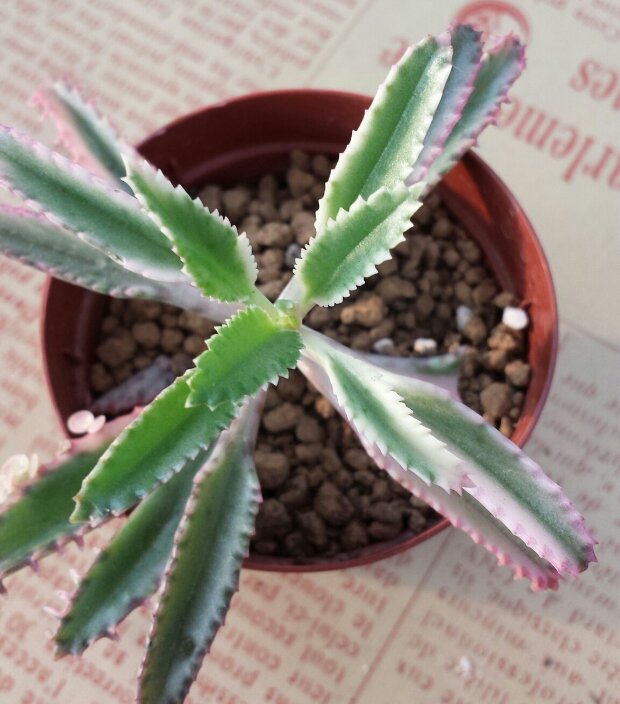 20131101_153111-1.jpg image