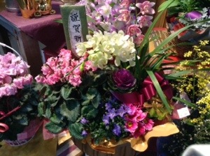 20131227-170855.jpg