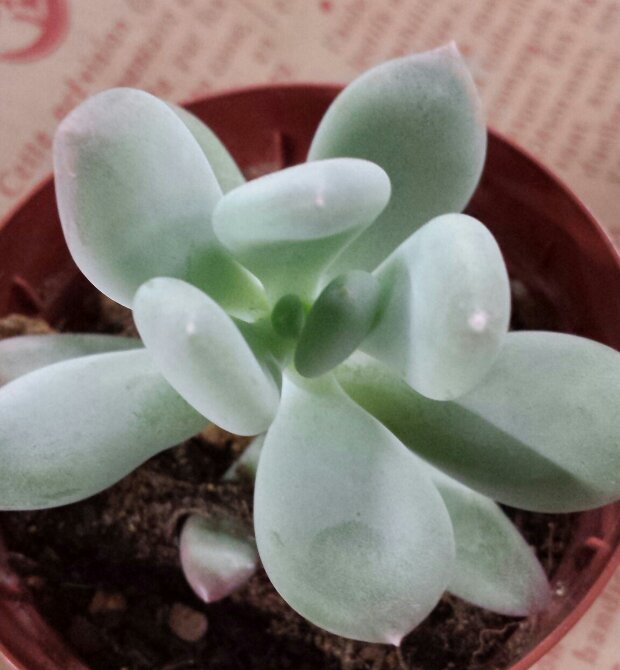 20131201_171324-1.jpg image