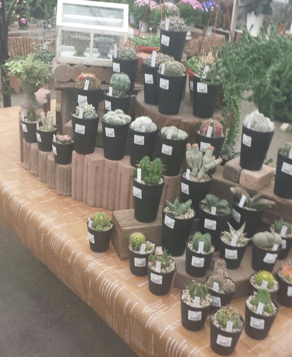 20140213_150627-1.jpg image