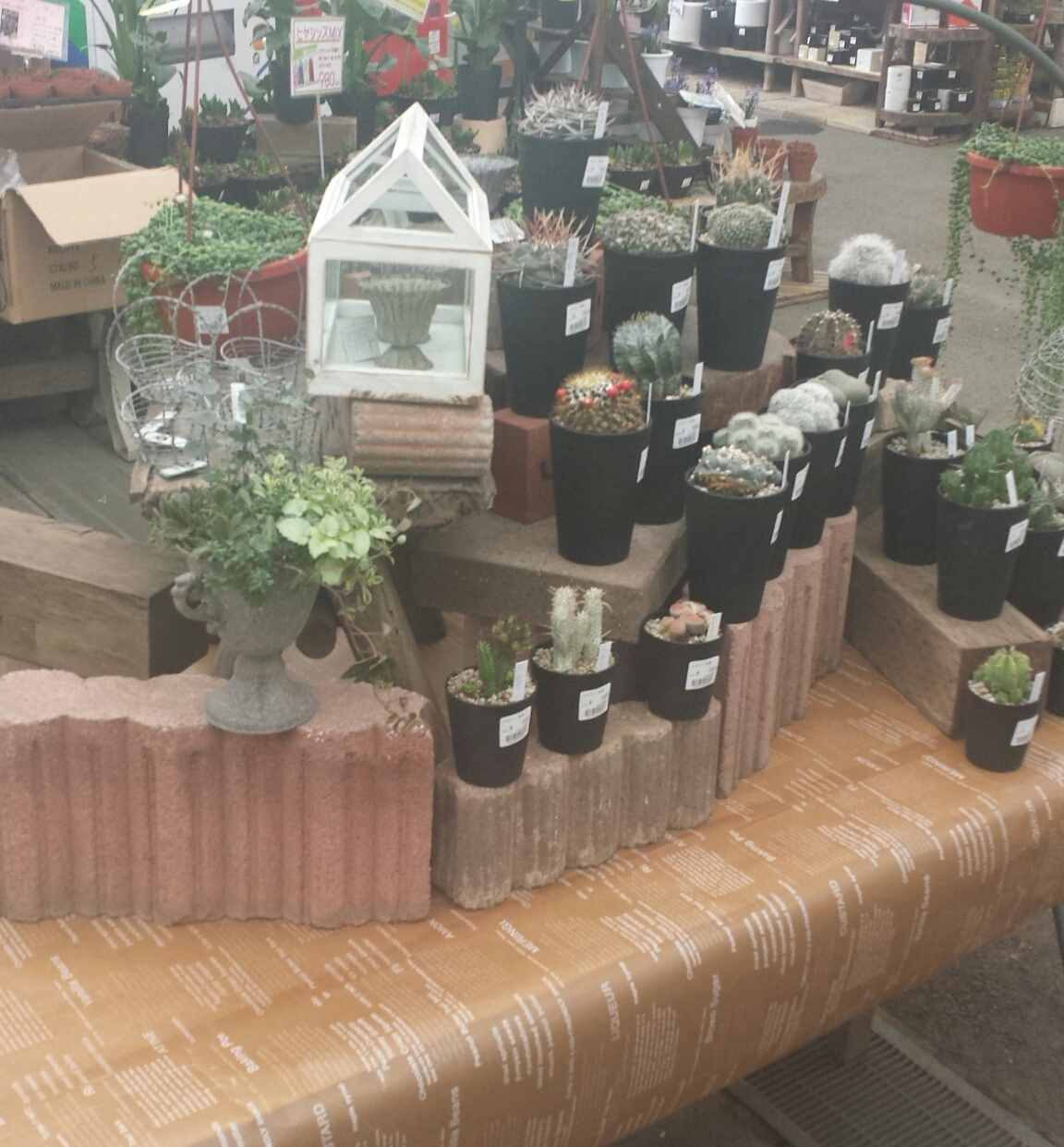 20140213_150646-1.jpg image