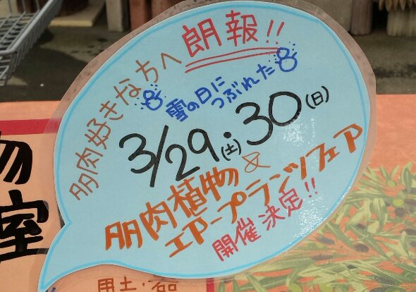 20140224_103355-1.jpg image