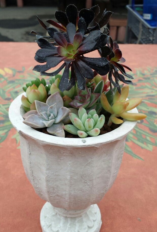 20140224_103639-1.jpg image
