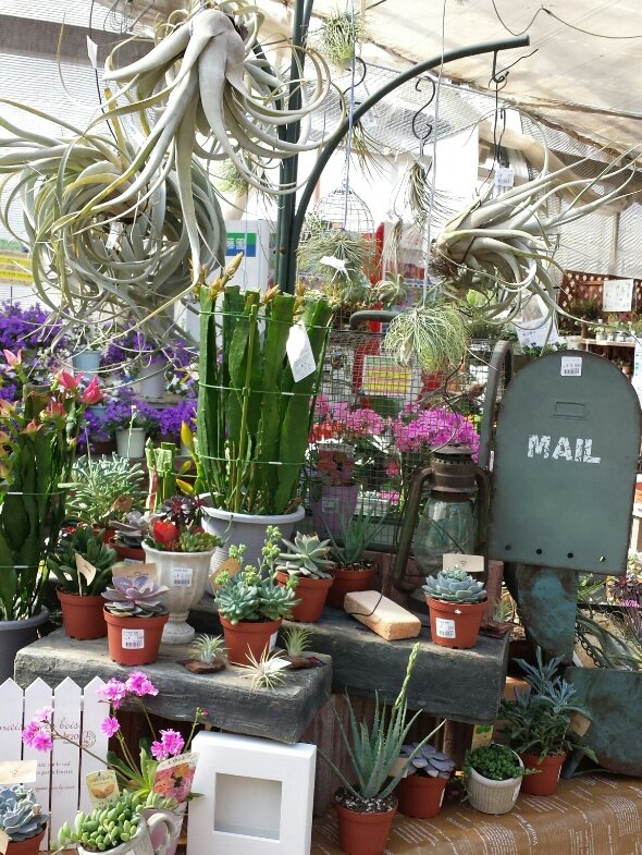 20140328_093112-1.jpg image