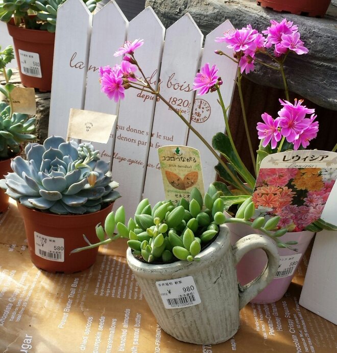 20140328_093118-1.jpg image