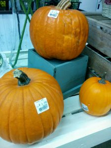 IMG_20151002_190308~2_20151002190923