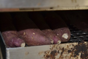 DSC_1445